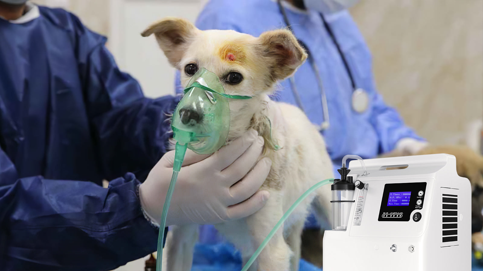 Momentos felizes para pacientes com DPOC e seus animais de estimação