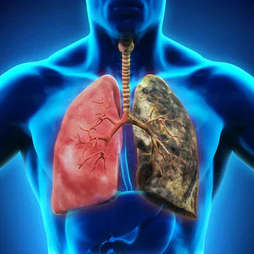 O Caminho da Recuperação: Superando Doenças Pulmonares para Respirar Melhor