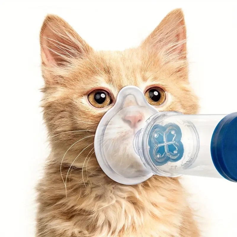 Concentrador de oxigênio para animais de estimação